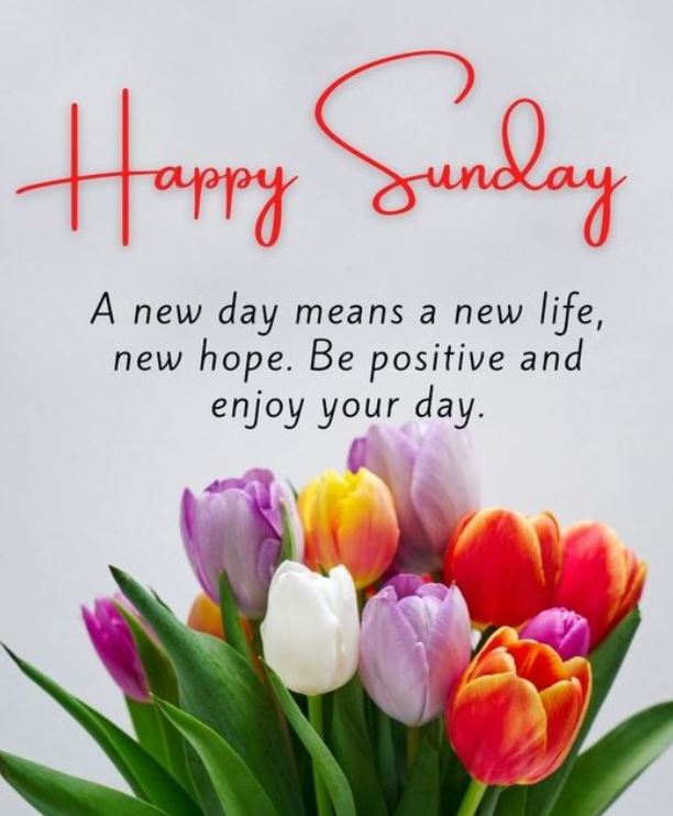 60 Images Of Good Morning Happy Sunday With Quotes To Share