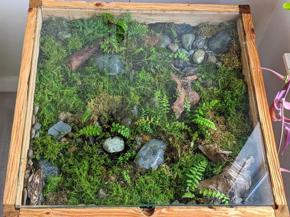Diy Terrarium Moss Garden Coffee Table Building A Terrarium Coffee Table Terrarium Creations