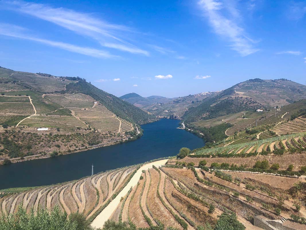 Sip and Savor: Exploring the Top 15 Vineyards in Portugal