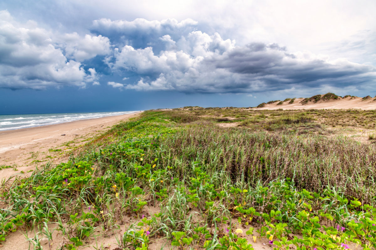 South Padre Island