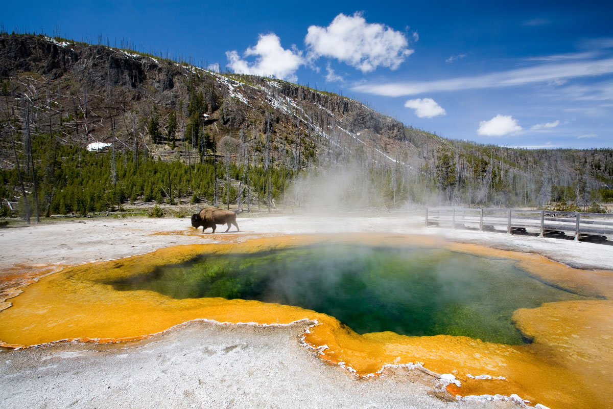 21 Interesting Facts about Yellowstone National Park 2023 You Might Not Know