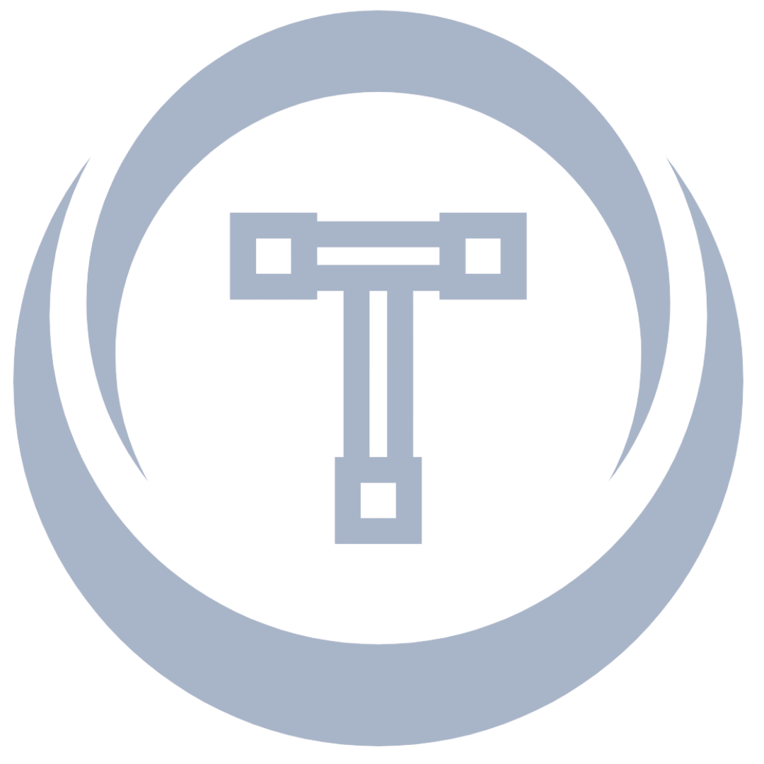thecleverprogrammer