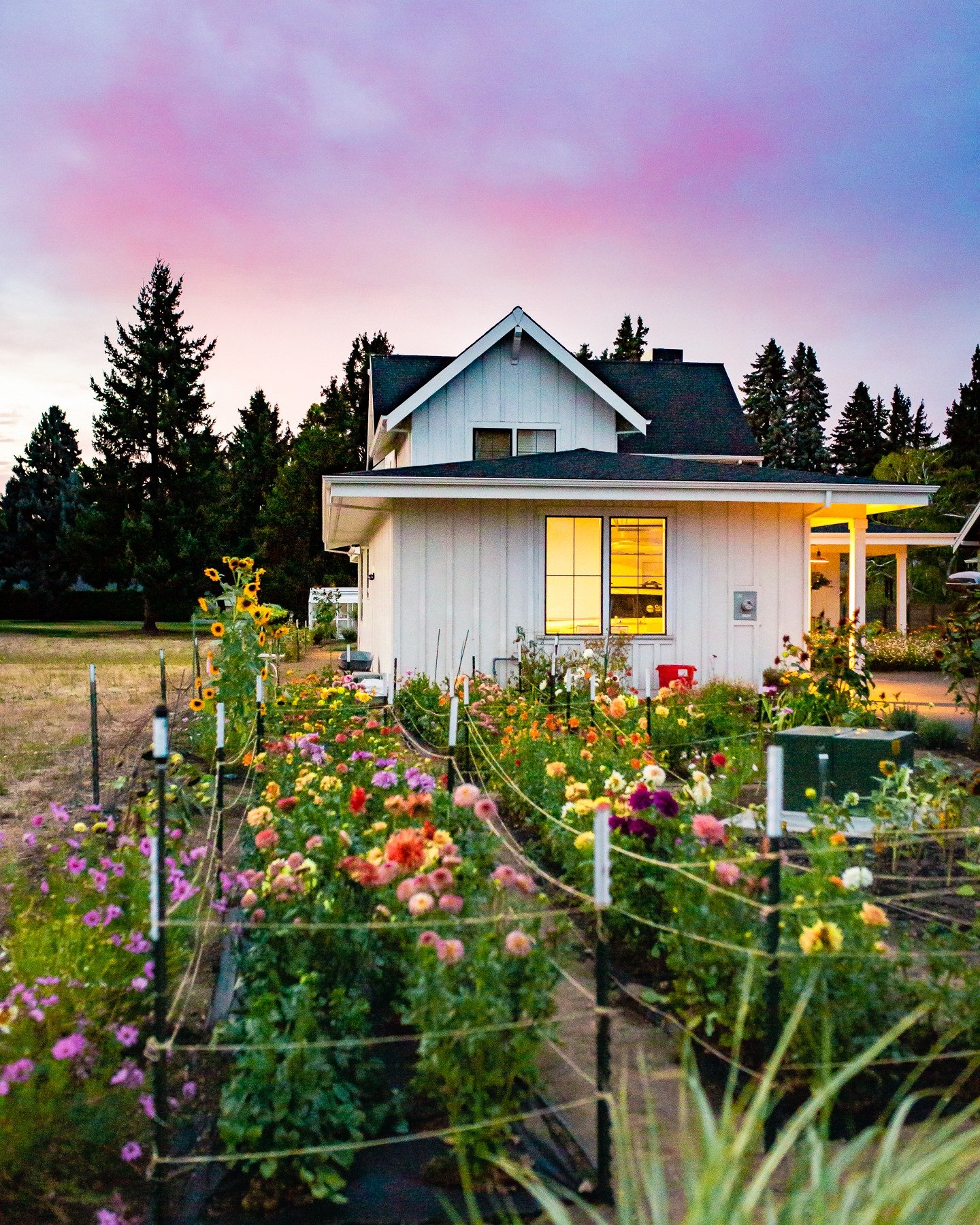 About Our Flower Farm The Flowering Farmhouse
