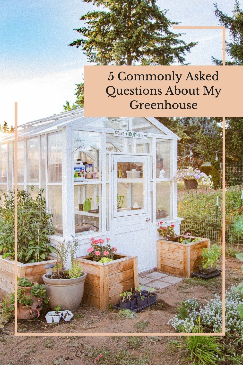 Commonly Asked Questions About My Backyard Greenhouse The Flowering Farmhouse