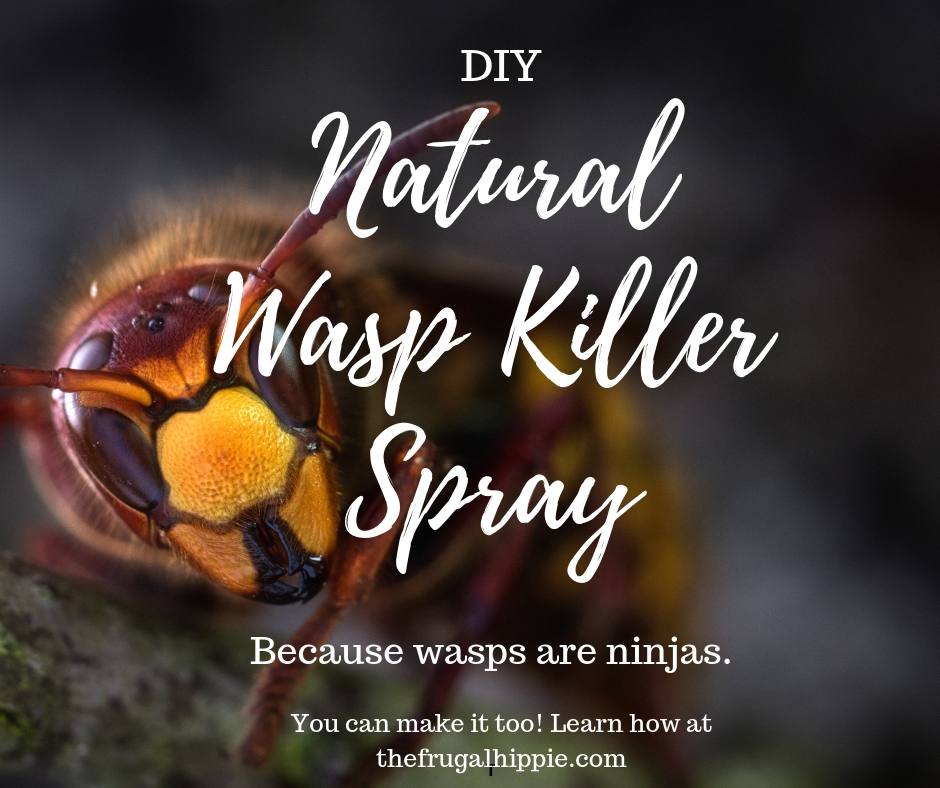 Natural Wasp Spray Diy Because Wasps Are Ninjas The Frugal Hippie