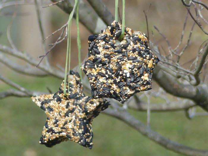 Diy Birdseed Ornaments