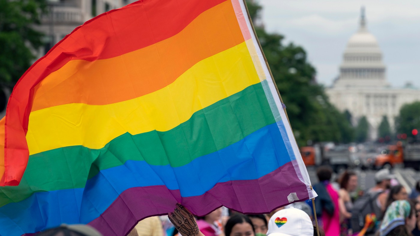 A large rainbow flag is waved in a crowd with the Capitol in the background.