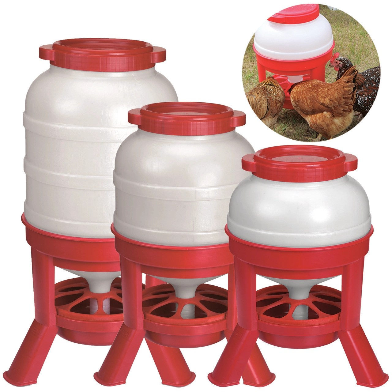 Chicken Waterer Heated The Honey And Bee Connection