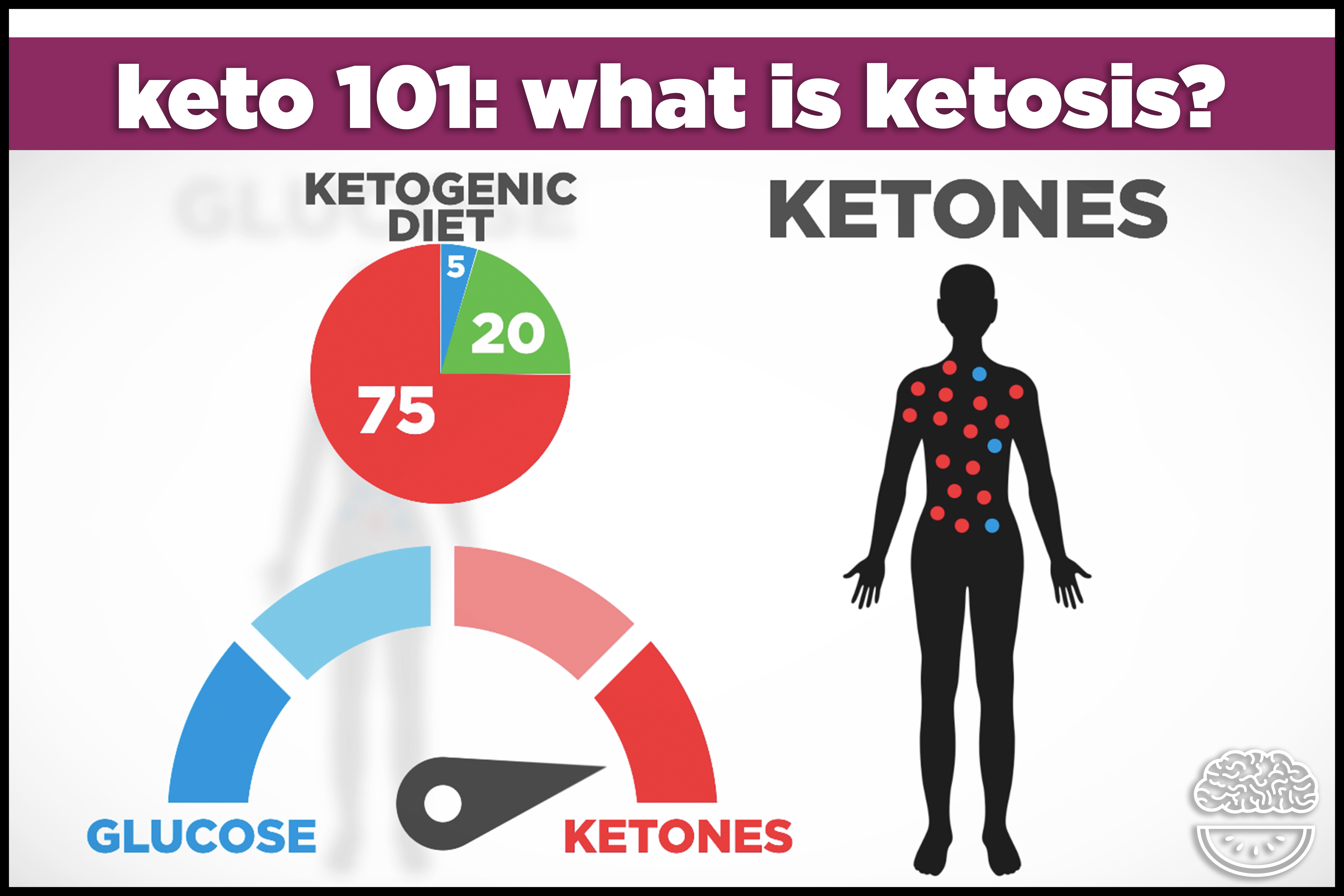 9 Tips To Get Into Ketosis The Keto Family