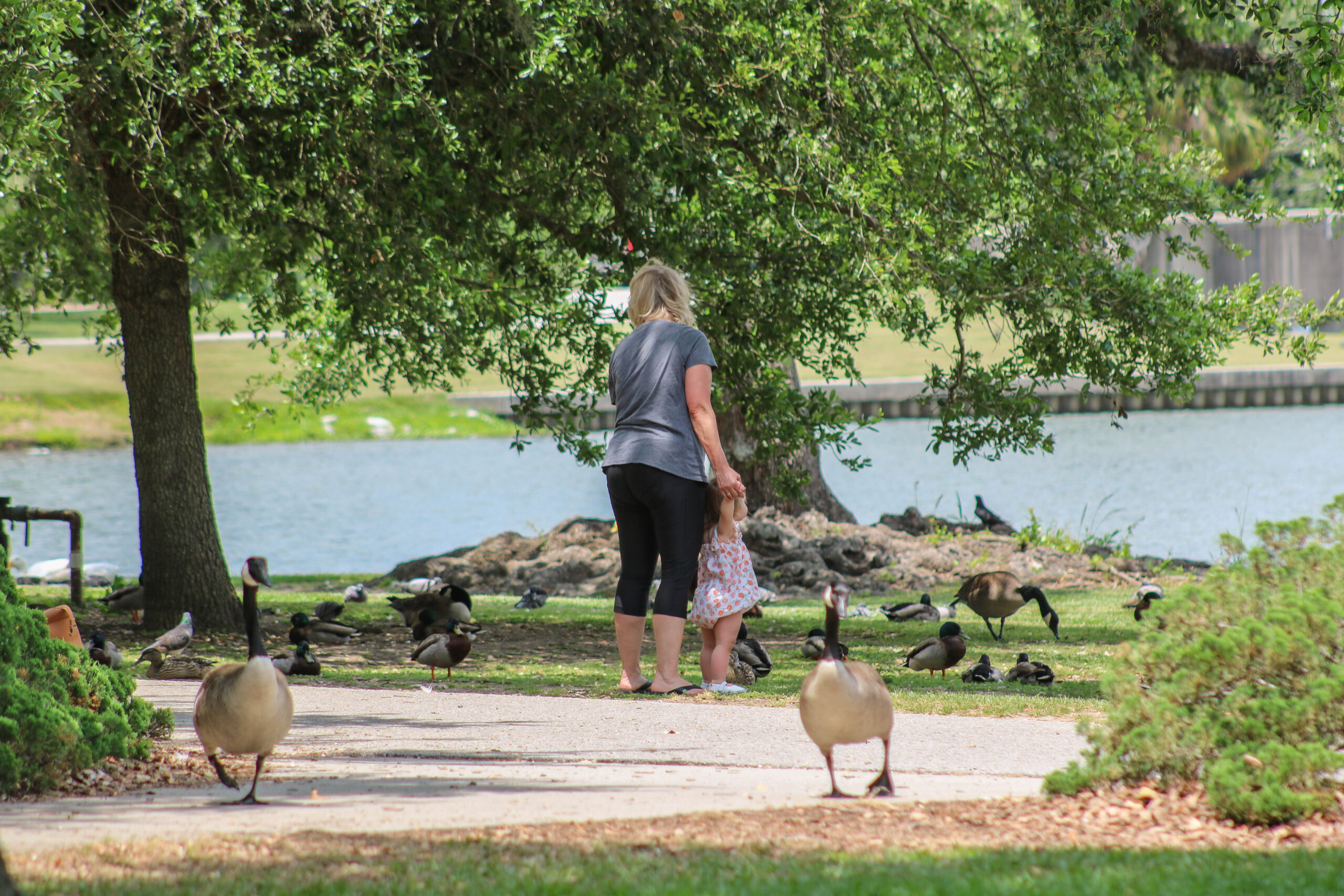 Getting everyone’s input on City Park, our backyard