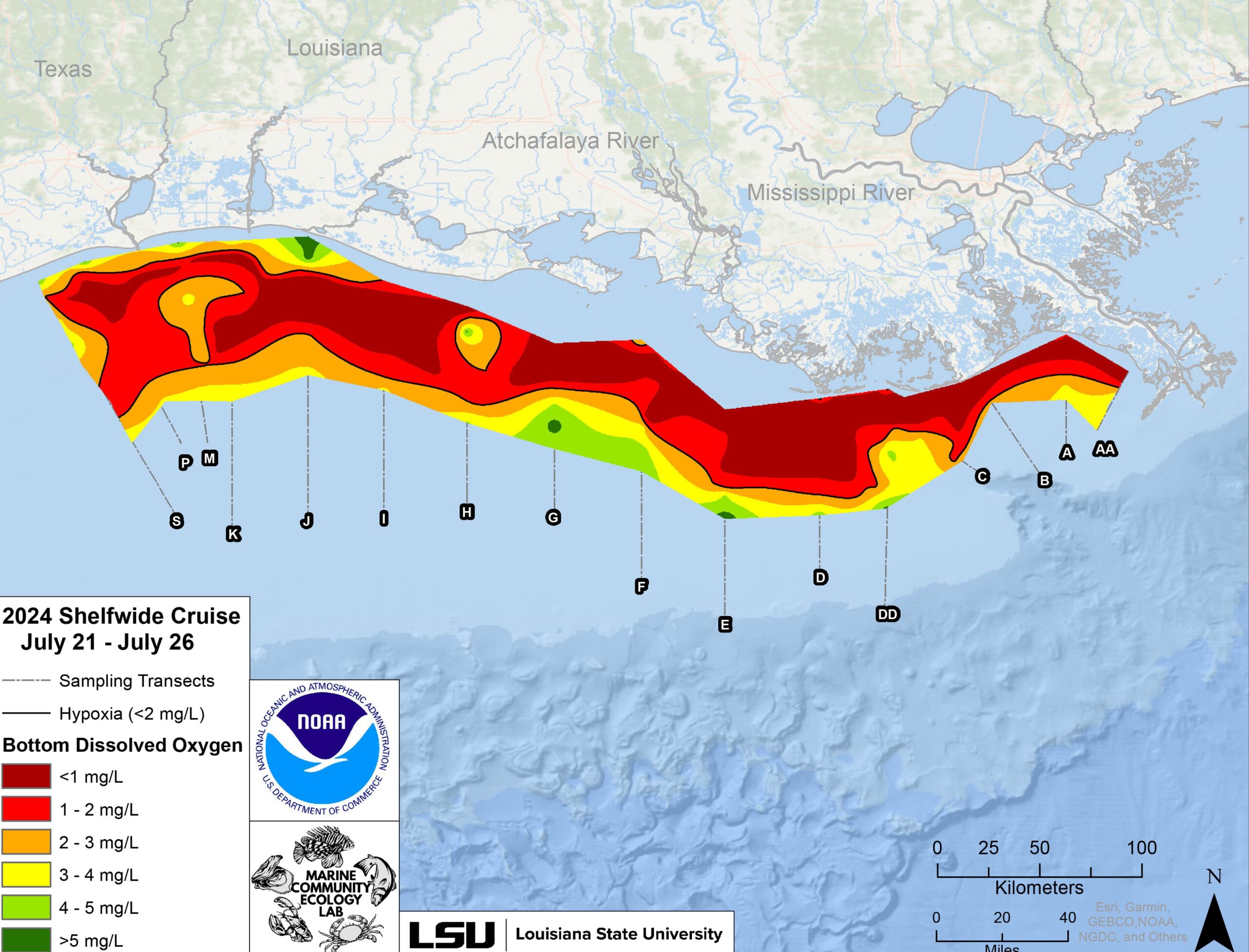 Gulf ‘dead zone’ larger than average, larger than expected for 2024, scientists announce