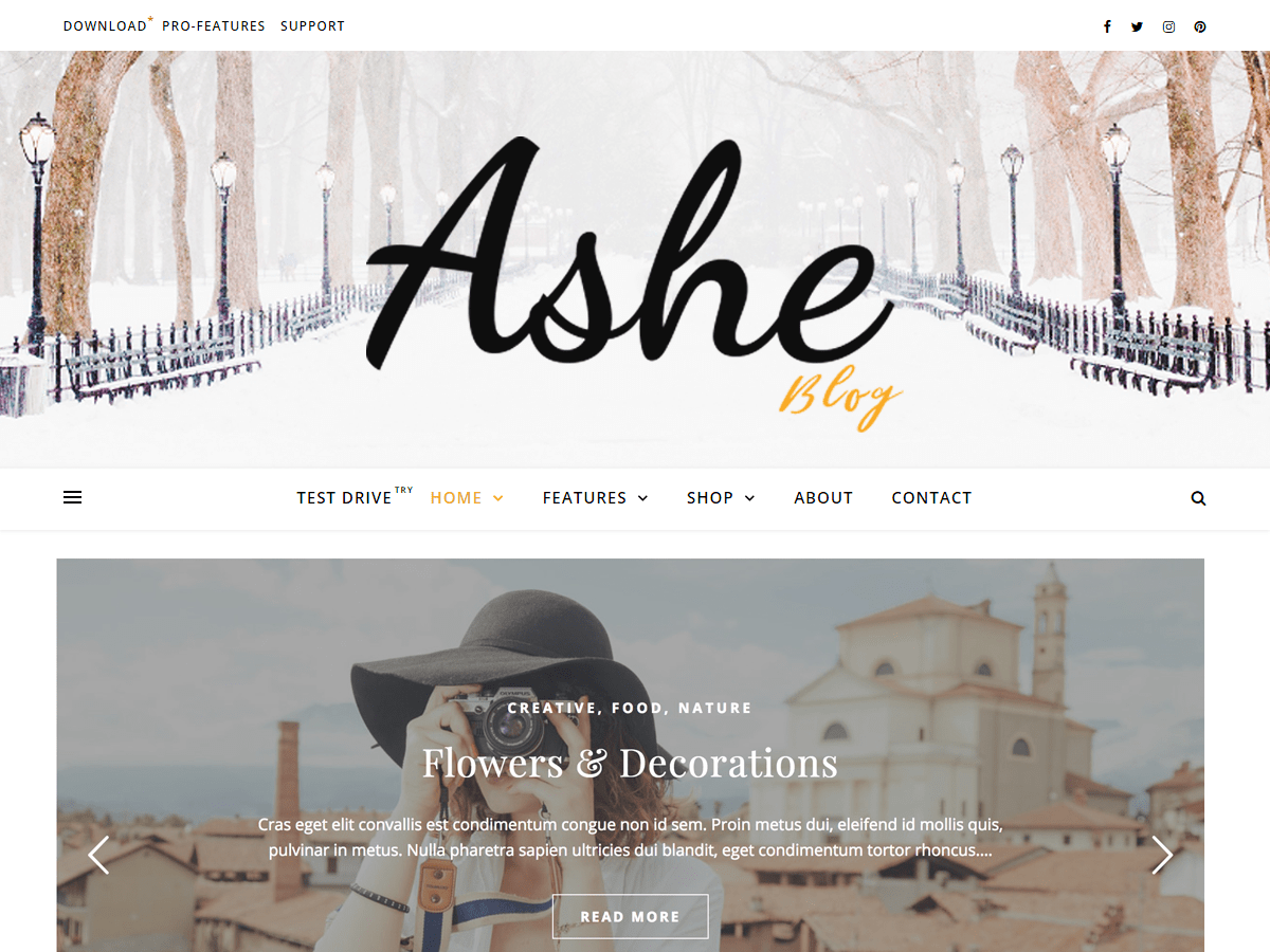 Top 10 Free WordPress Themes For Business 11 Free WordPress Blog Theme