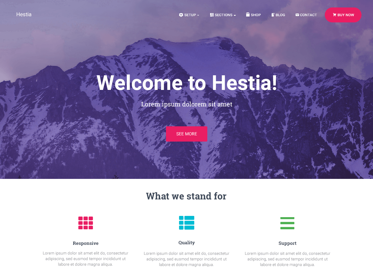 Top 10 Free WordPress Themes For Business 3 Hestia free business theme for professional
