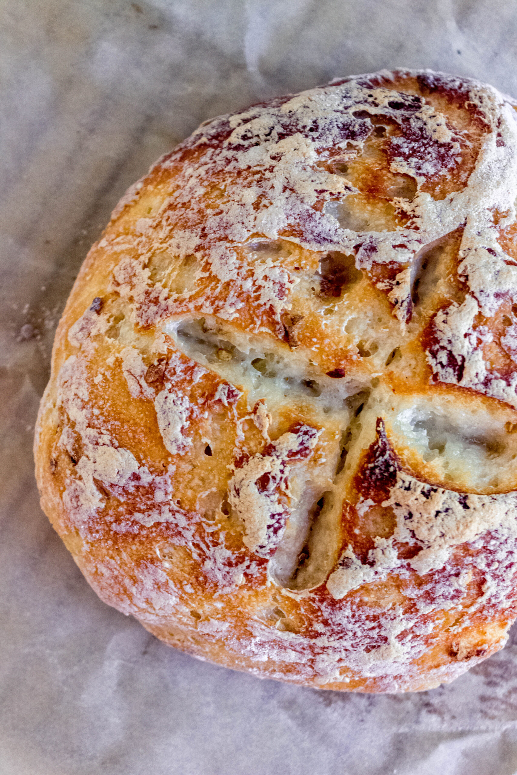 Gluten Free No Knead Bread The Sassy Dietitian