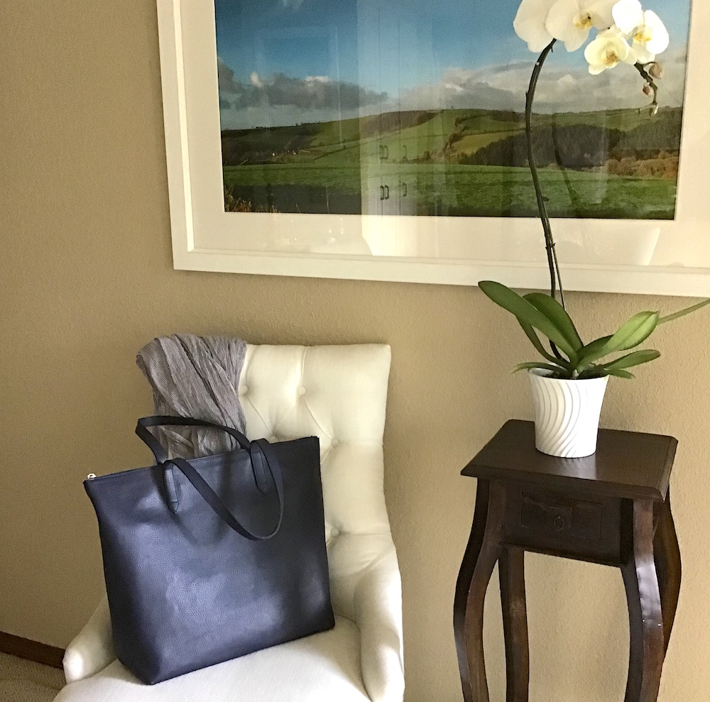 My Go To Handbag For Work Travel Cuyana The Simply Luxurious Life