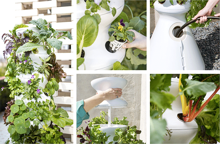 Zooey Deschanel Has A New Startup Selling Hydroponic Farms For The Home