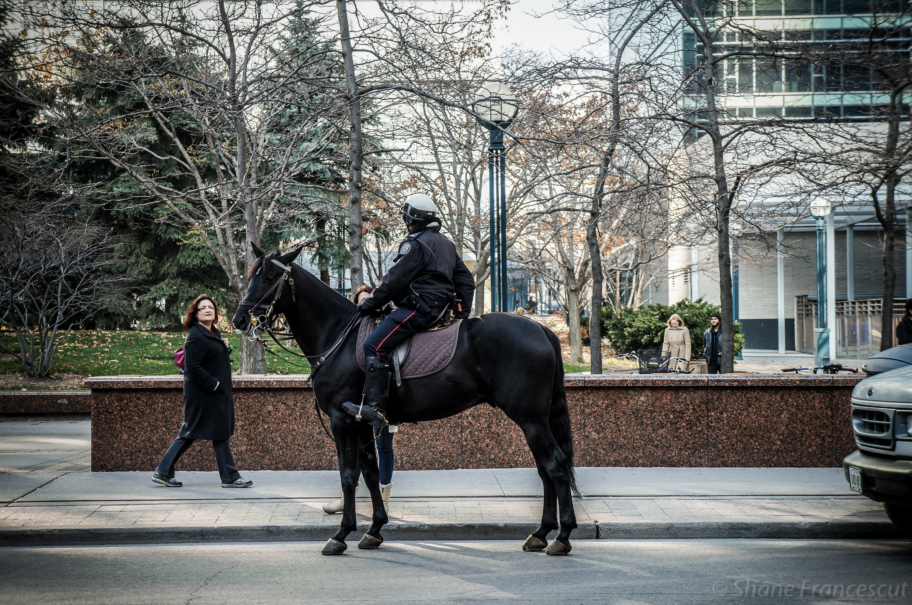 horse cop