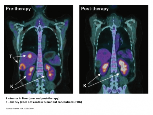 Potential Tactics for Defeating Cancer — A Toolkit in 1,000 Words