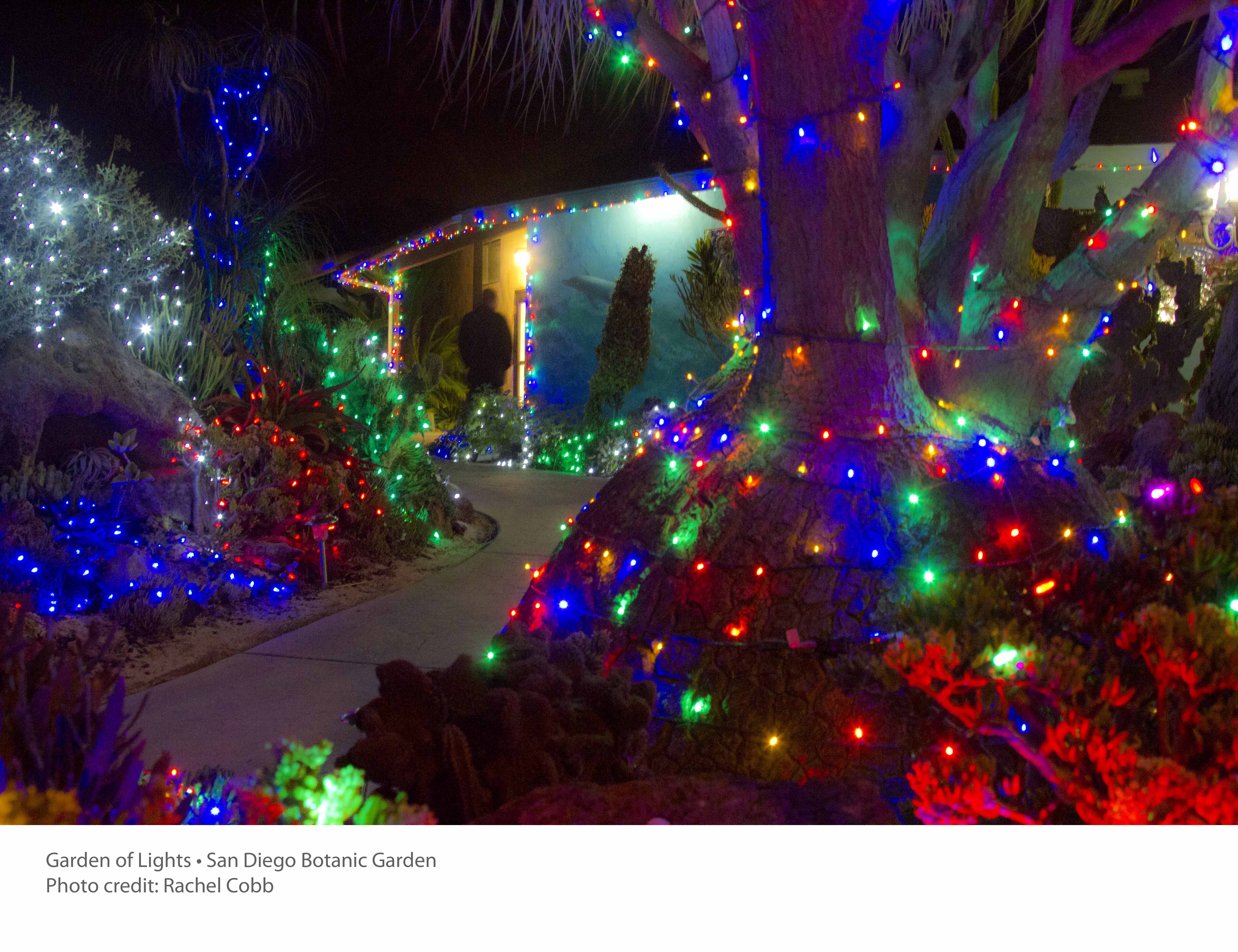 Weekend Guide Christmas Edition Times Of San Diego