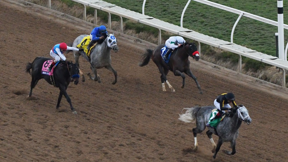 Opinion Prop 26 Would Bail Out Horse Racing In California And Perpetuate Abuse Times Of San Diego