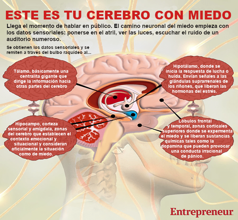Imagen obtenida de la web Enduring Mind