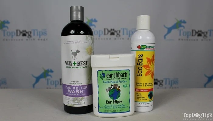 How To Make Homemade Dog Ear Cleaner 6 Natural And Simple Recipes