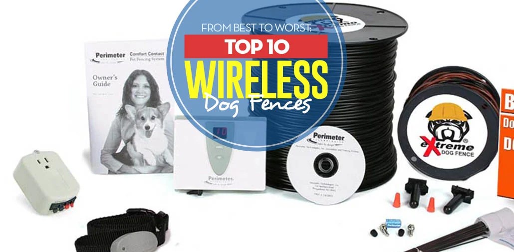Wireless Dog Fence 12 Pros And Cons You Must Know Infographic