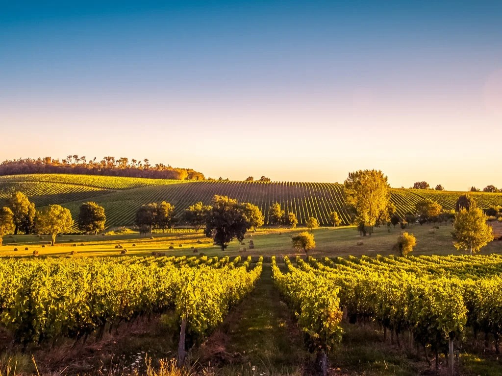 Bordeaux France travel guide beautiful vineyards