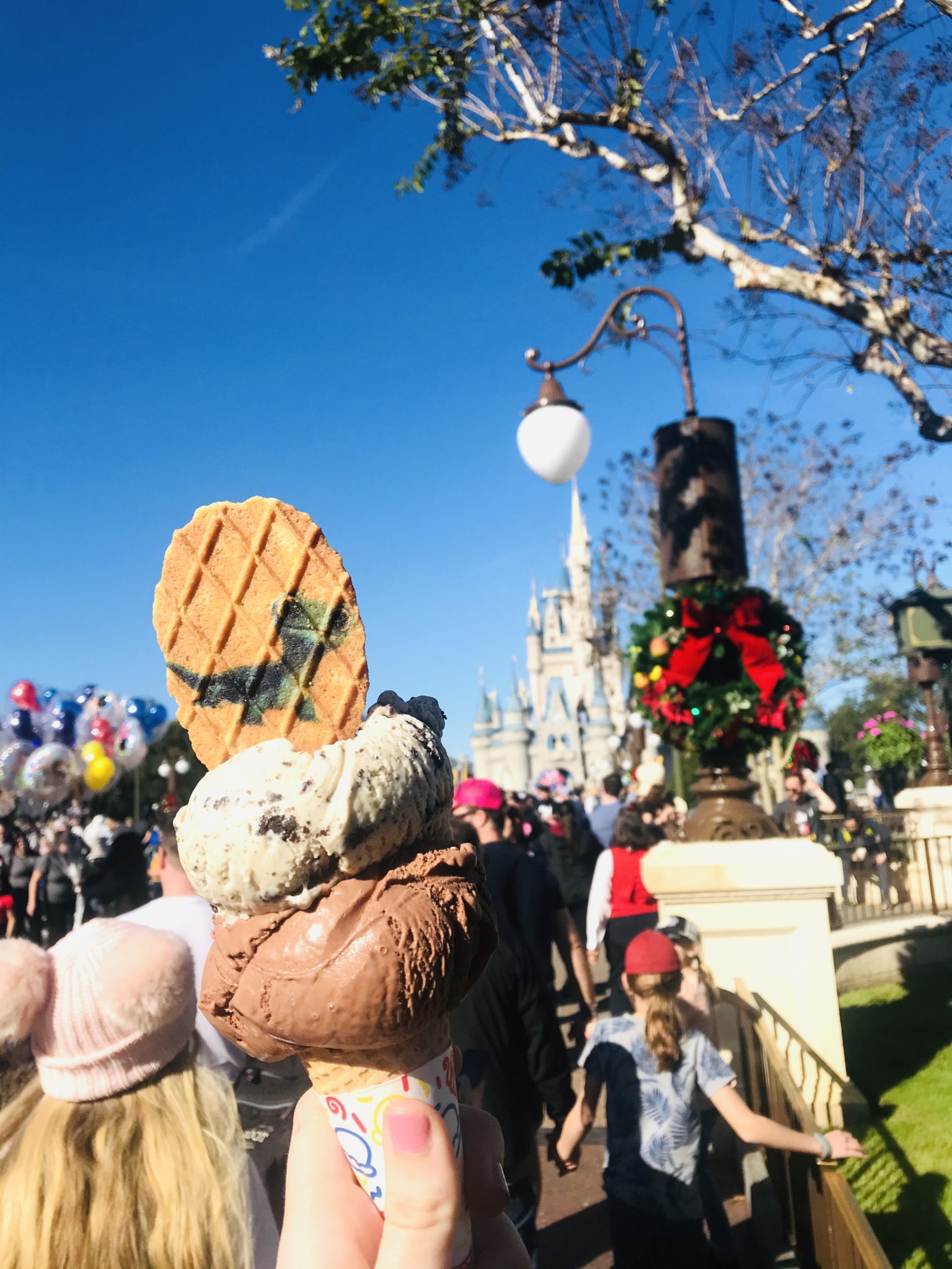An ice cream cone at Magic Kingdom