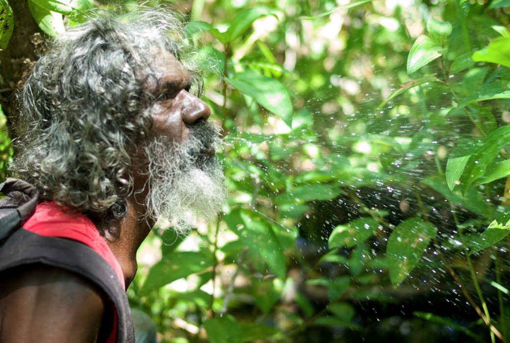 David Dalaithngu To Receive Aacta Longford Lyell Award Tv Tonight