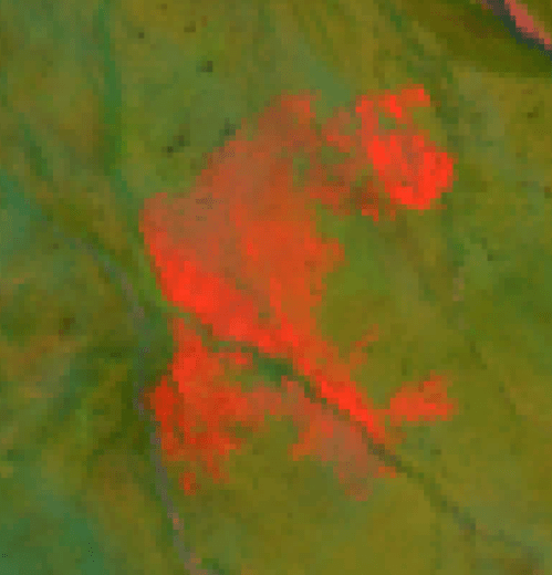 remotely sensed fire image