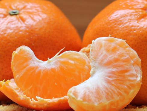 Mogen Honden Ananas Eten