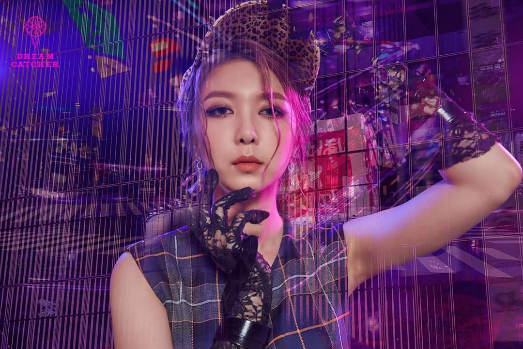 Dami dreamcatcher 2018