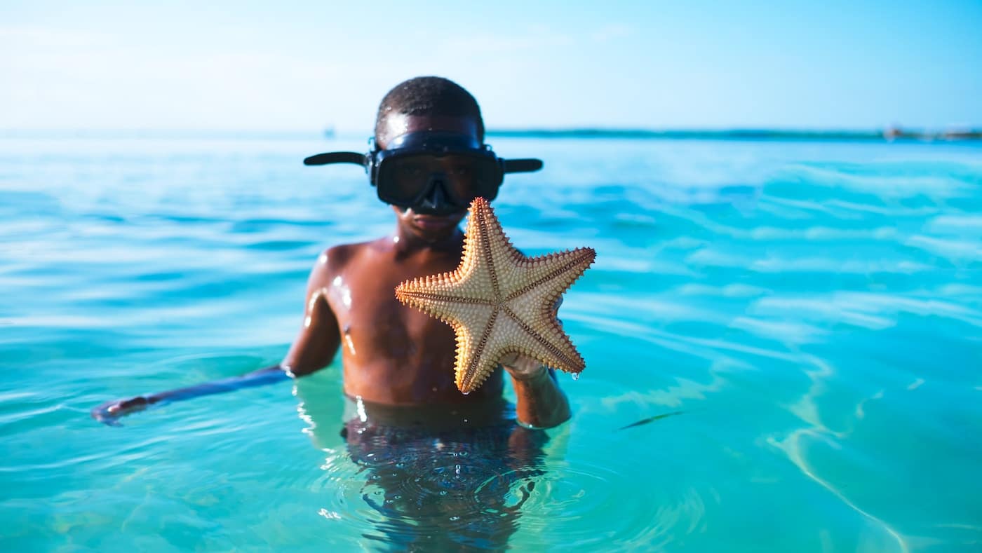 man carrying star fish-Belize Solo Travel