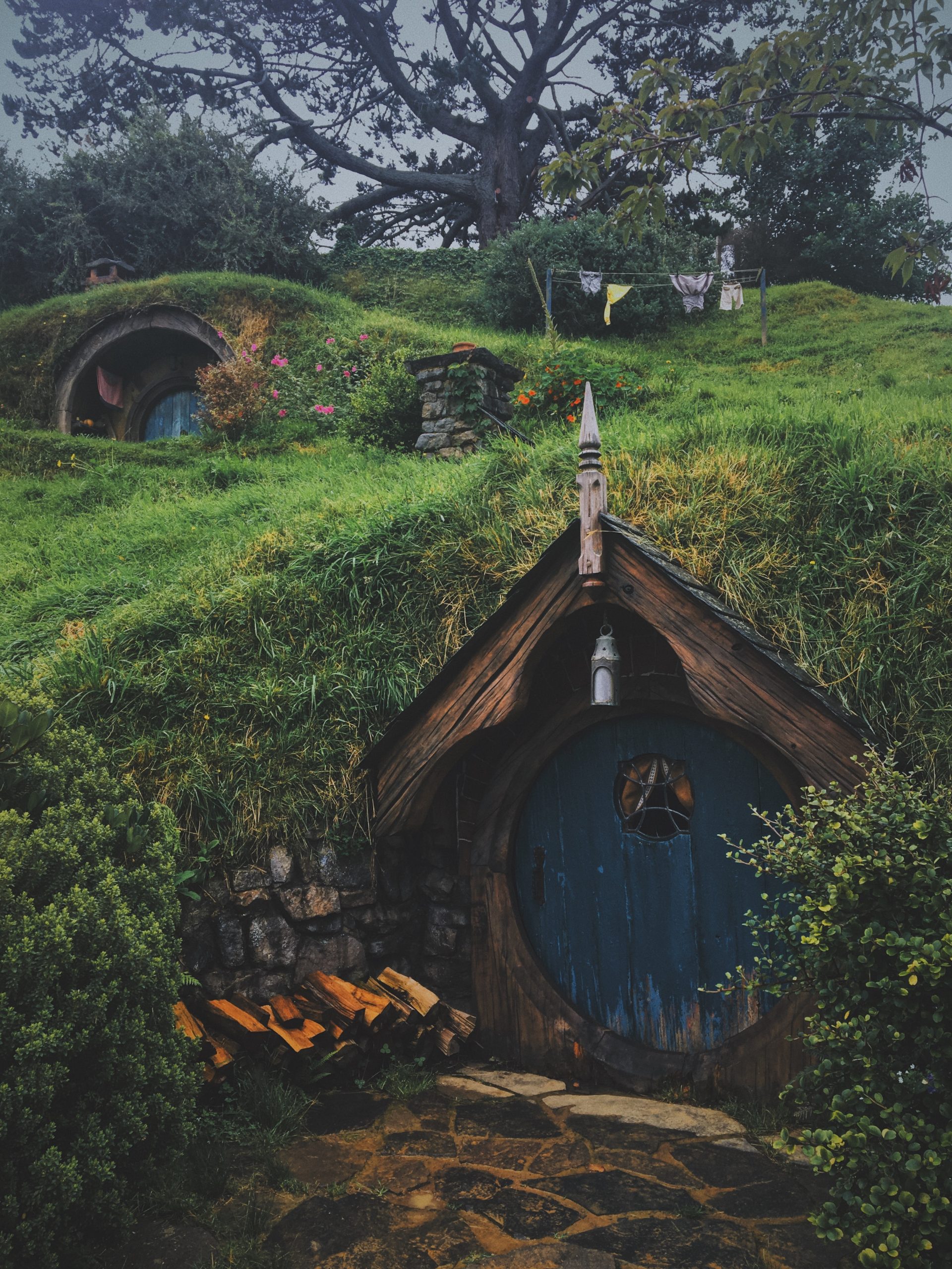 Hobbit movie set in New Zealand