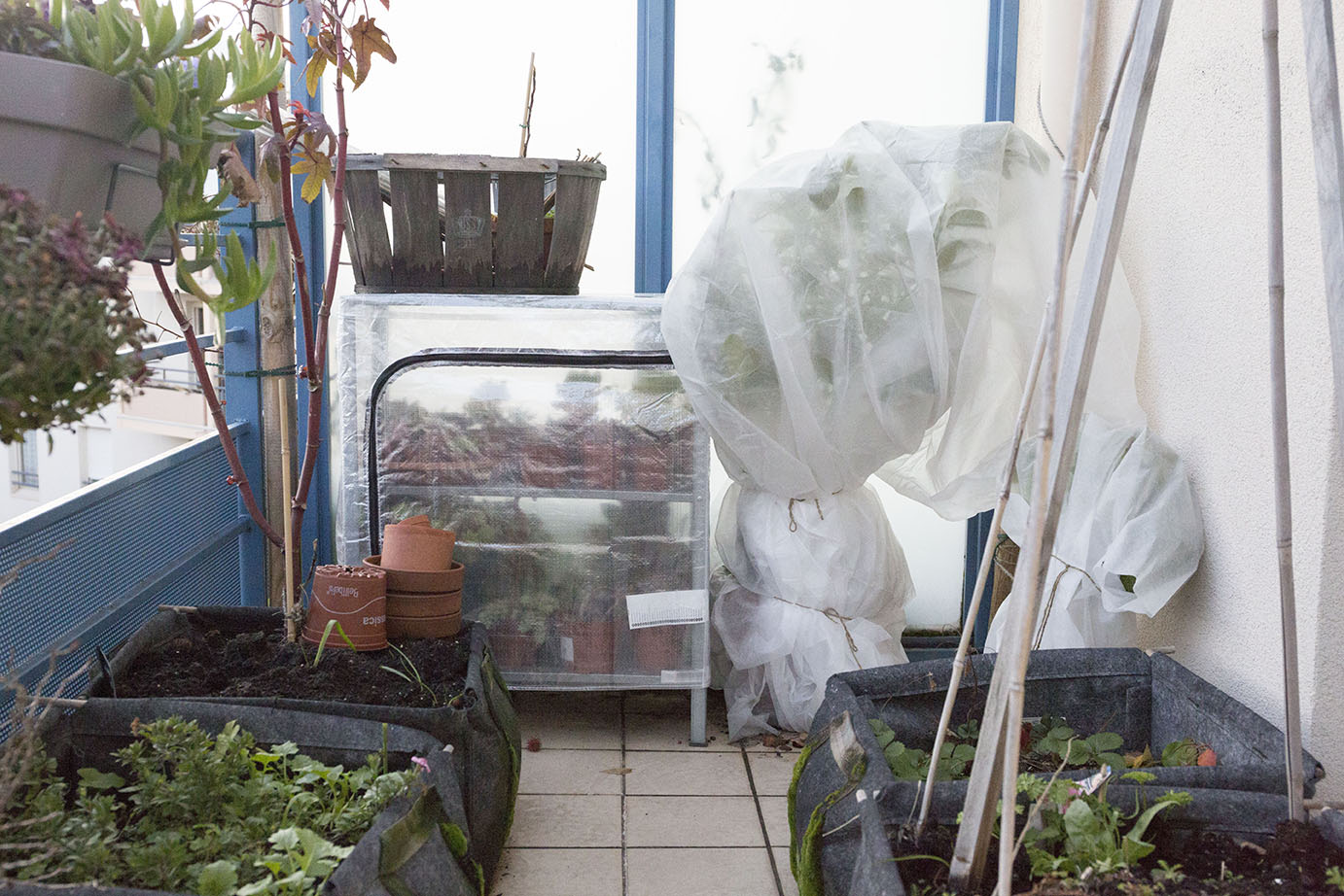 Prendre Soin De Ses Plantes Sur Le Balcon En Hiver Vert Bobo