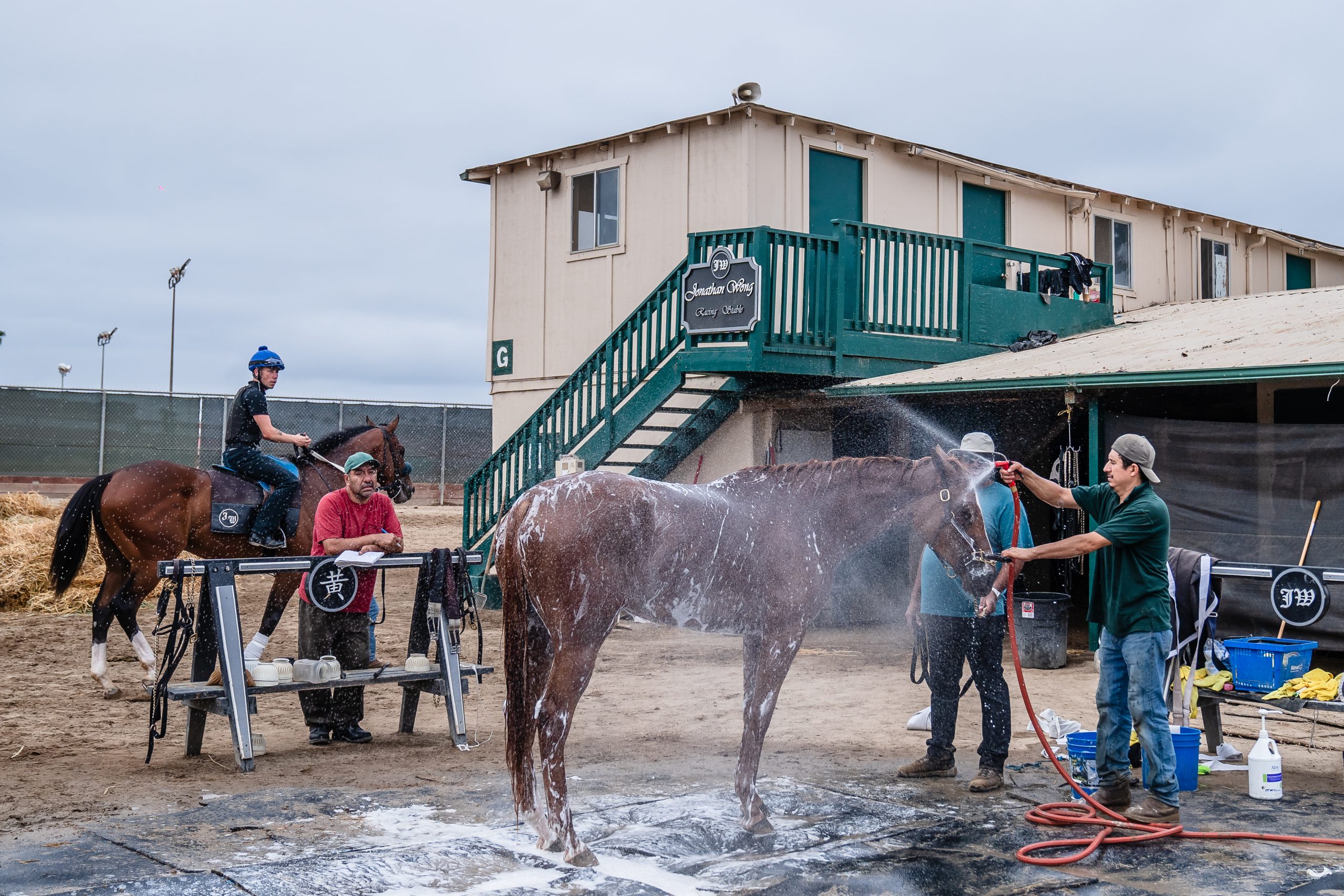 Horse Groomers working in the morning at the Del Mar Fairgrounds on July 29, 2022.