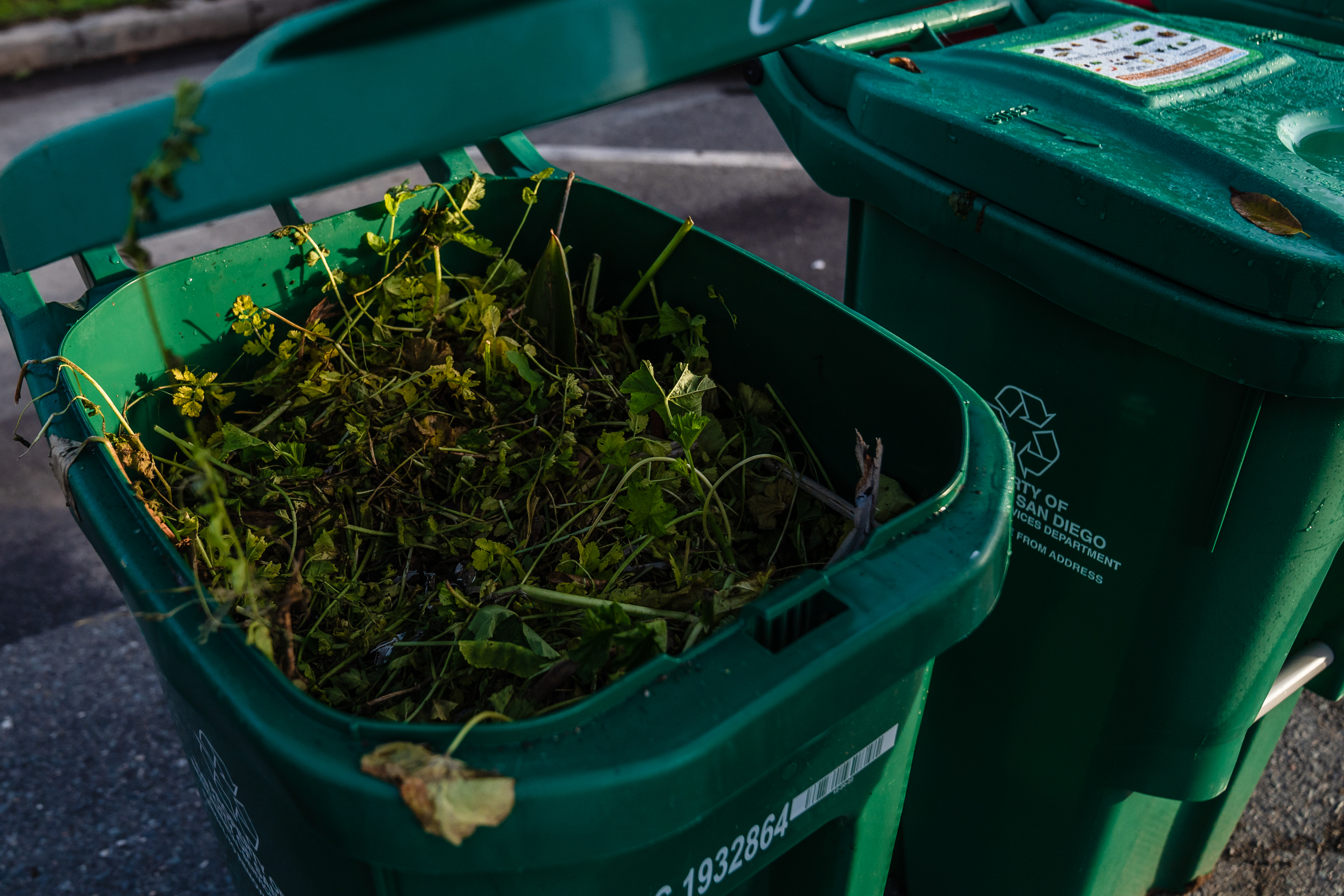 Environment Report: San Diego’s Organics Recycling Seems to Be Working