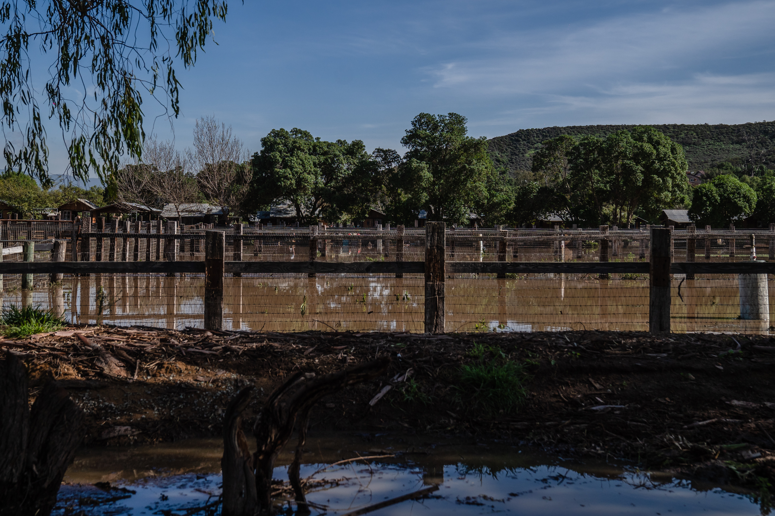 Border Canyon Sewage Collector Blamed for South Bay Odors