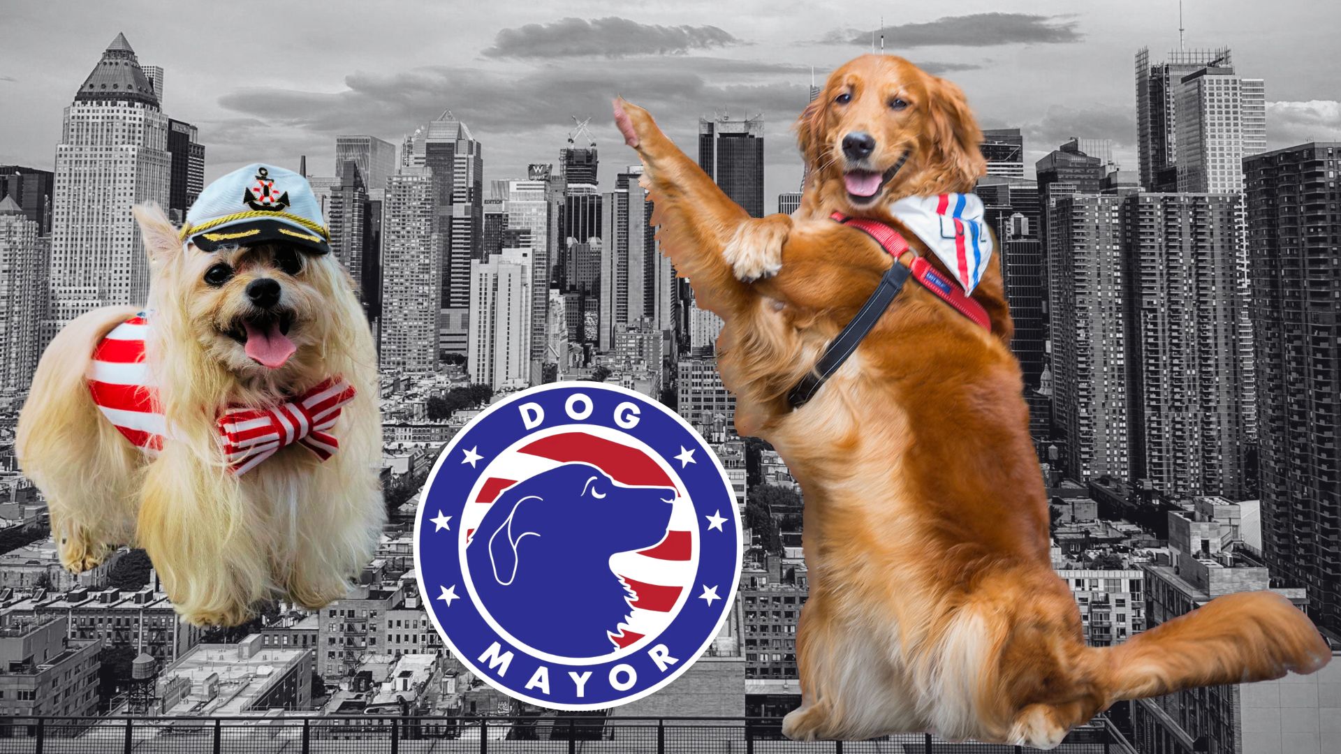 Hell’s Kitchen Pups Battle for Top Dog in NYC’s Honorary Dog Mayor Race