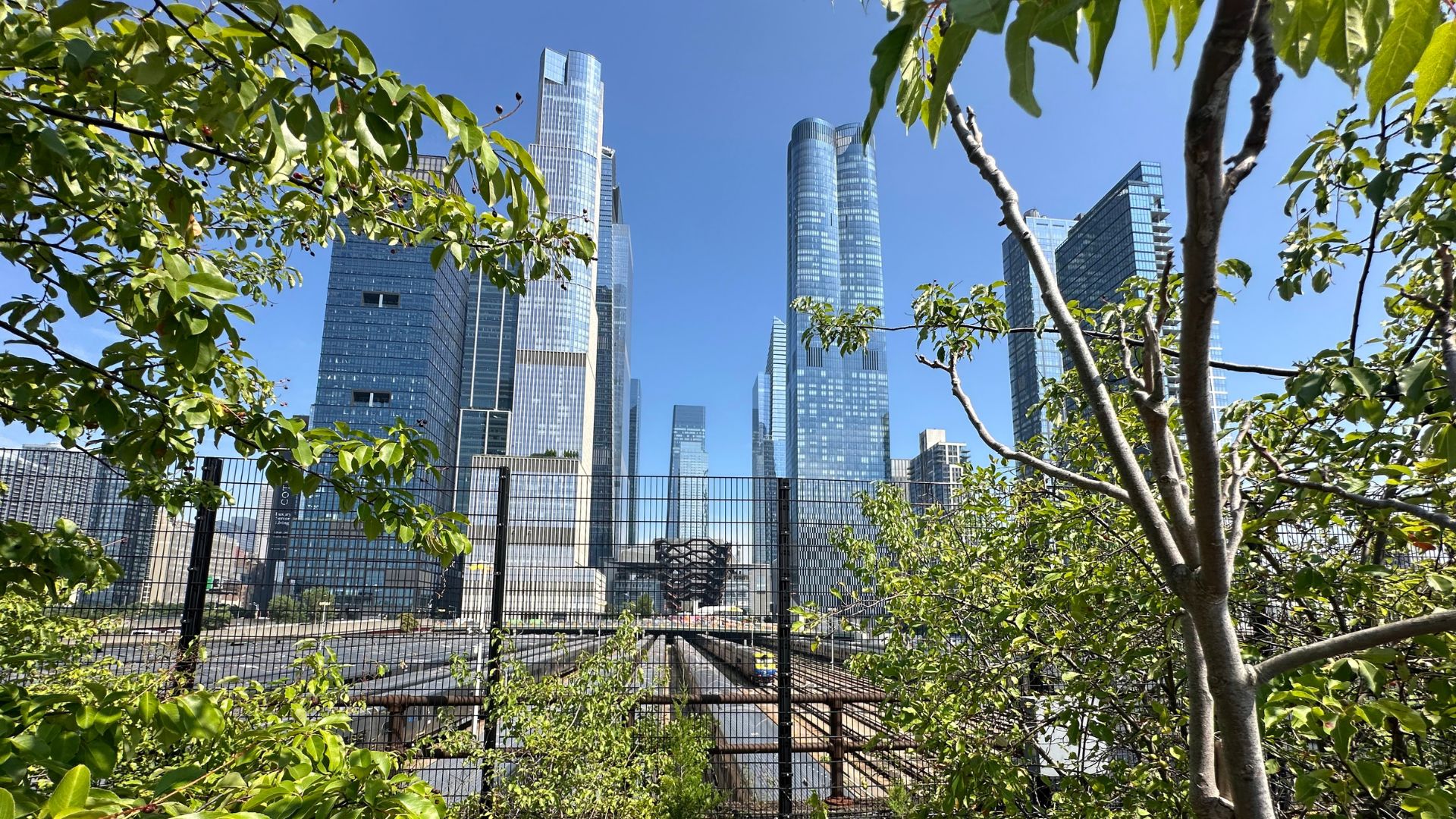High Line Supporters Slam ‘Impactful’ Hudson Yards Development Plan