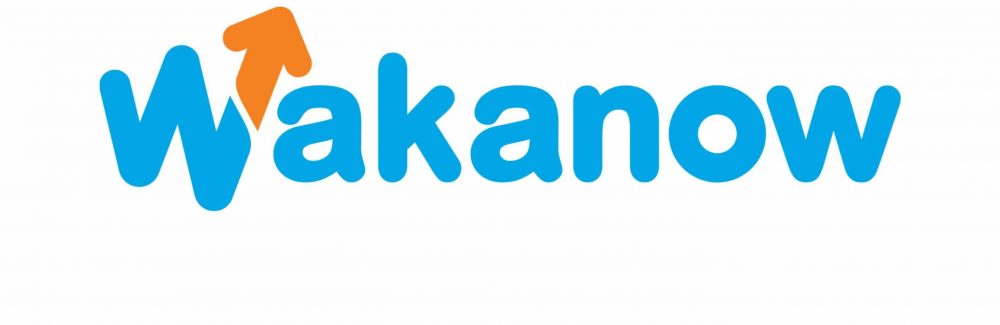 Wakanow Affiliate Program – Opportunity to Earn Money