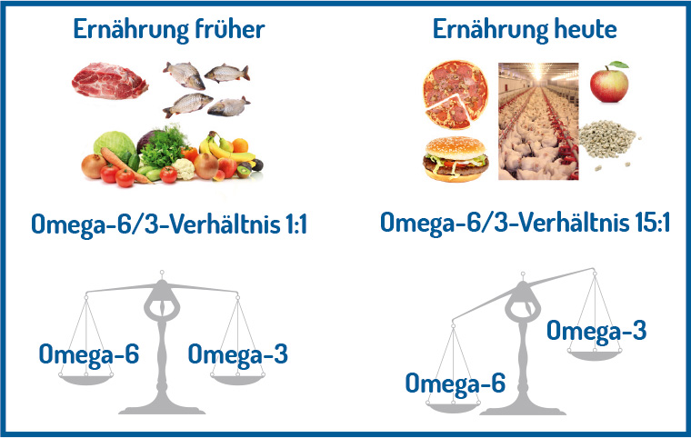 Omega 3 Die Welt Der Essentiellen Fettsauren We Live Vegan
