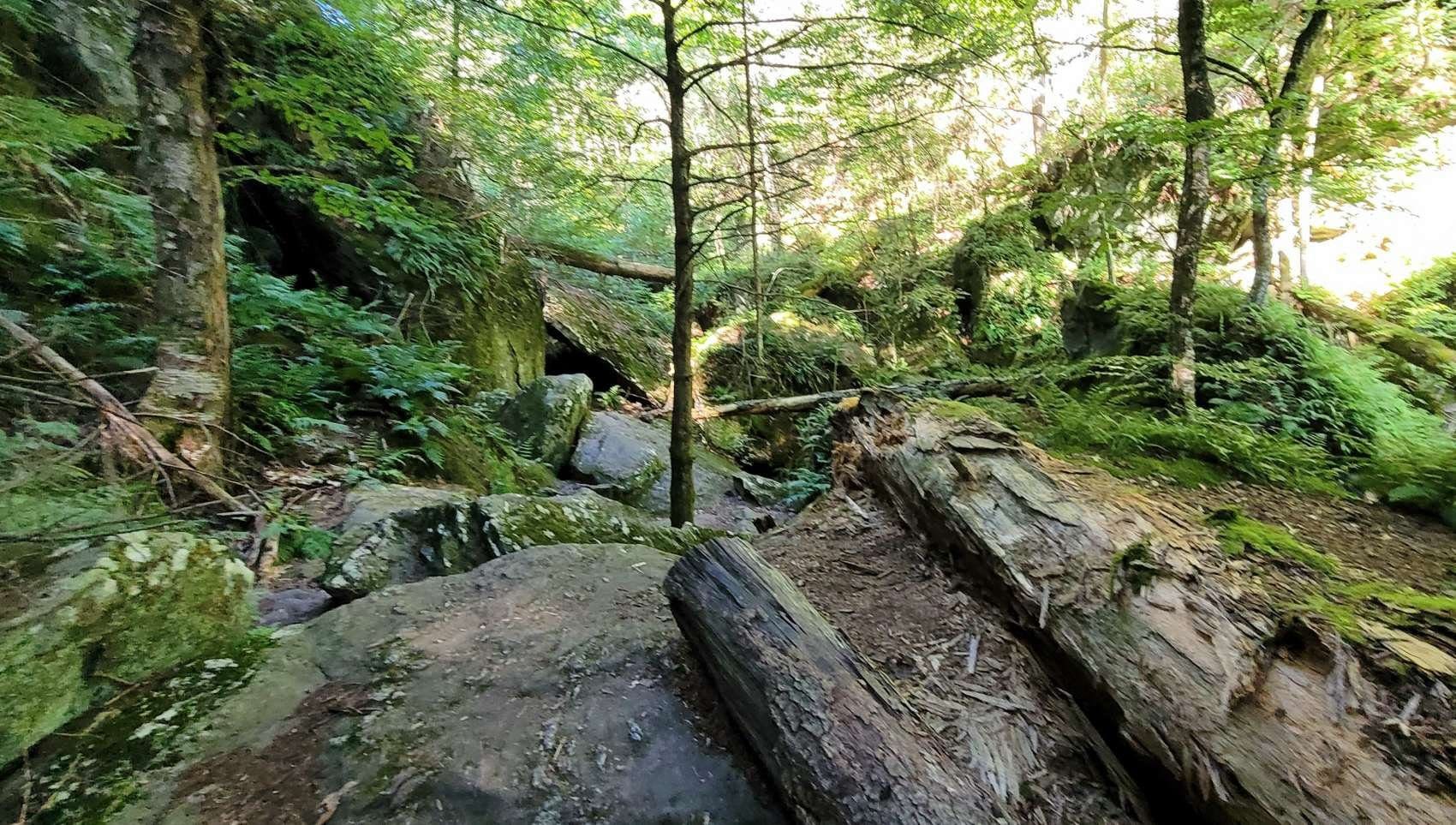 Western Mass Hilltown Hikersdedicated To Enjoying And Preserving The Natural Beauty Of The Hilltowns Hikethehilltowns With The Westernmasshilltownhikersice Glenn In Stockbridge