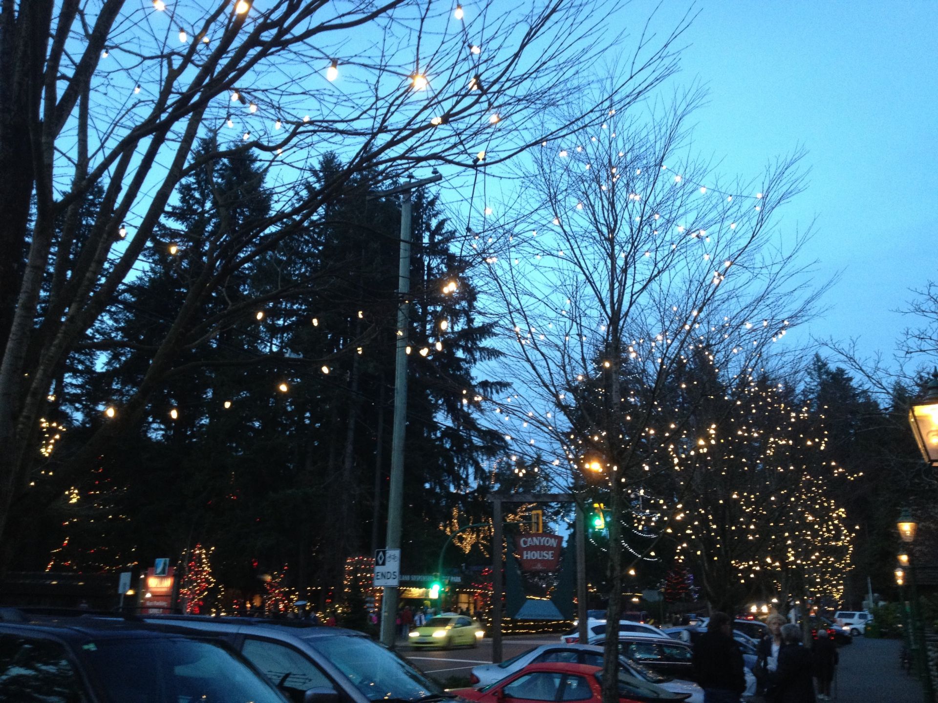 Canyon Lights At Capilano Suspension Bridge What Laura Did Next