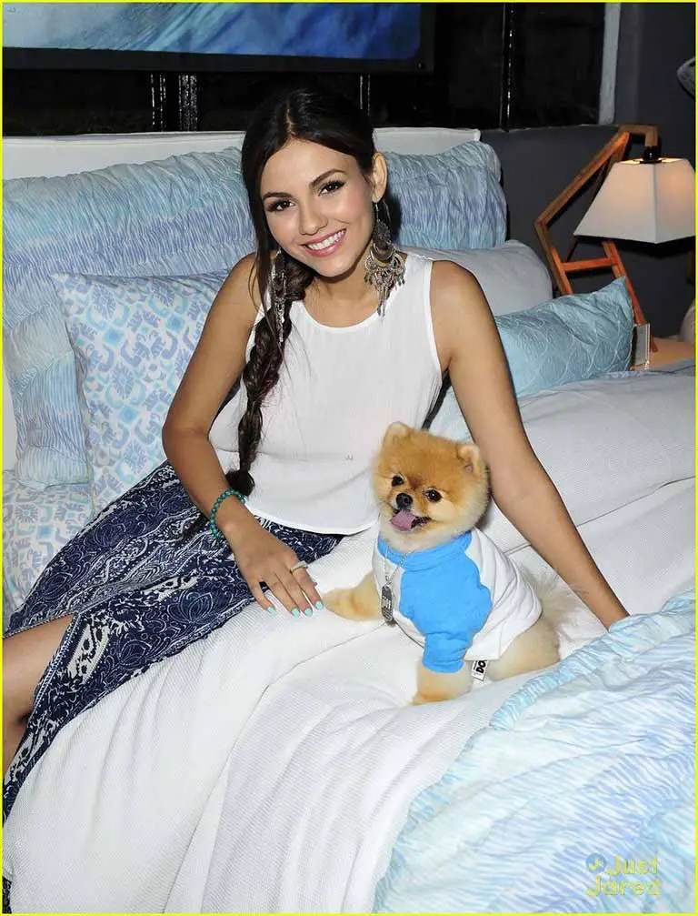 Victoria's dog