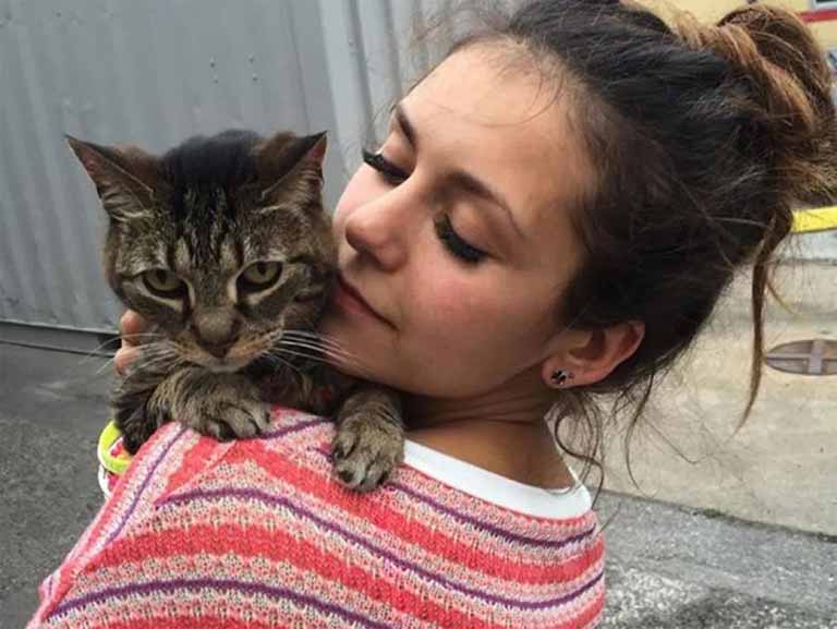 Nina's pet cat
