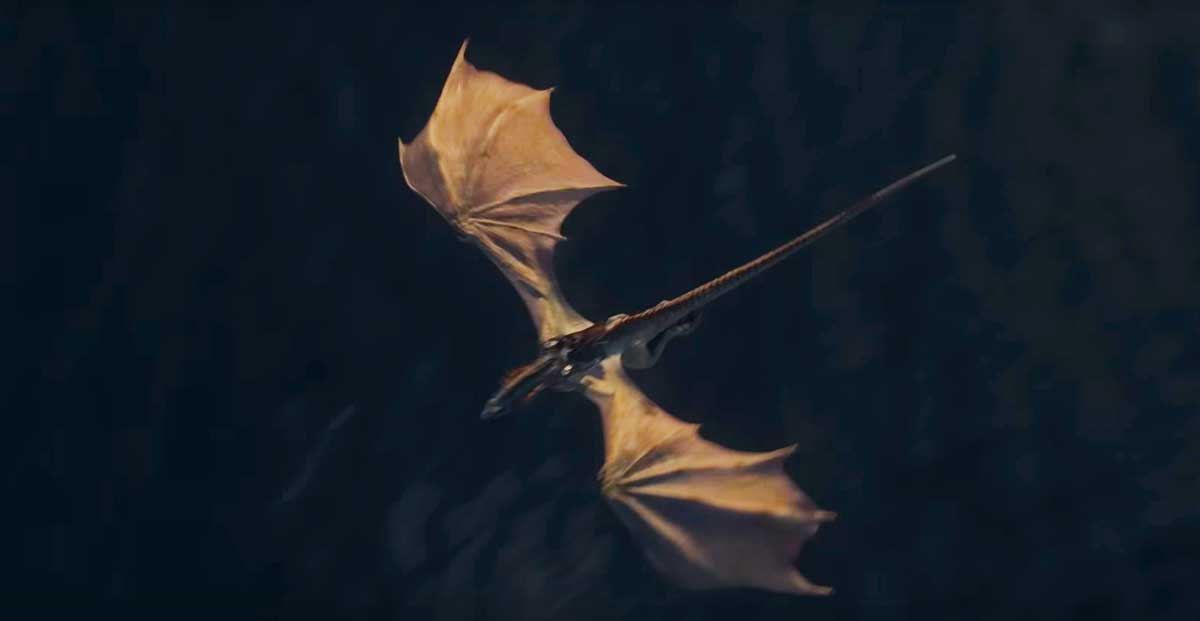 House Of The Dragon Season Finale Leaked Ahead Of Release Update Hbo Responds Wiki Of Thrones