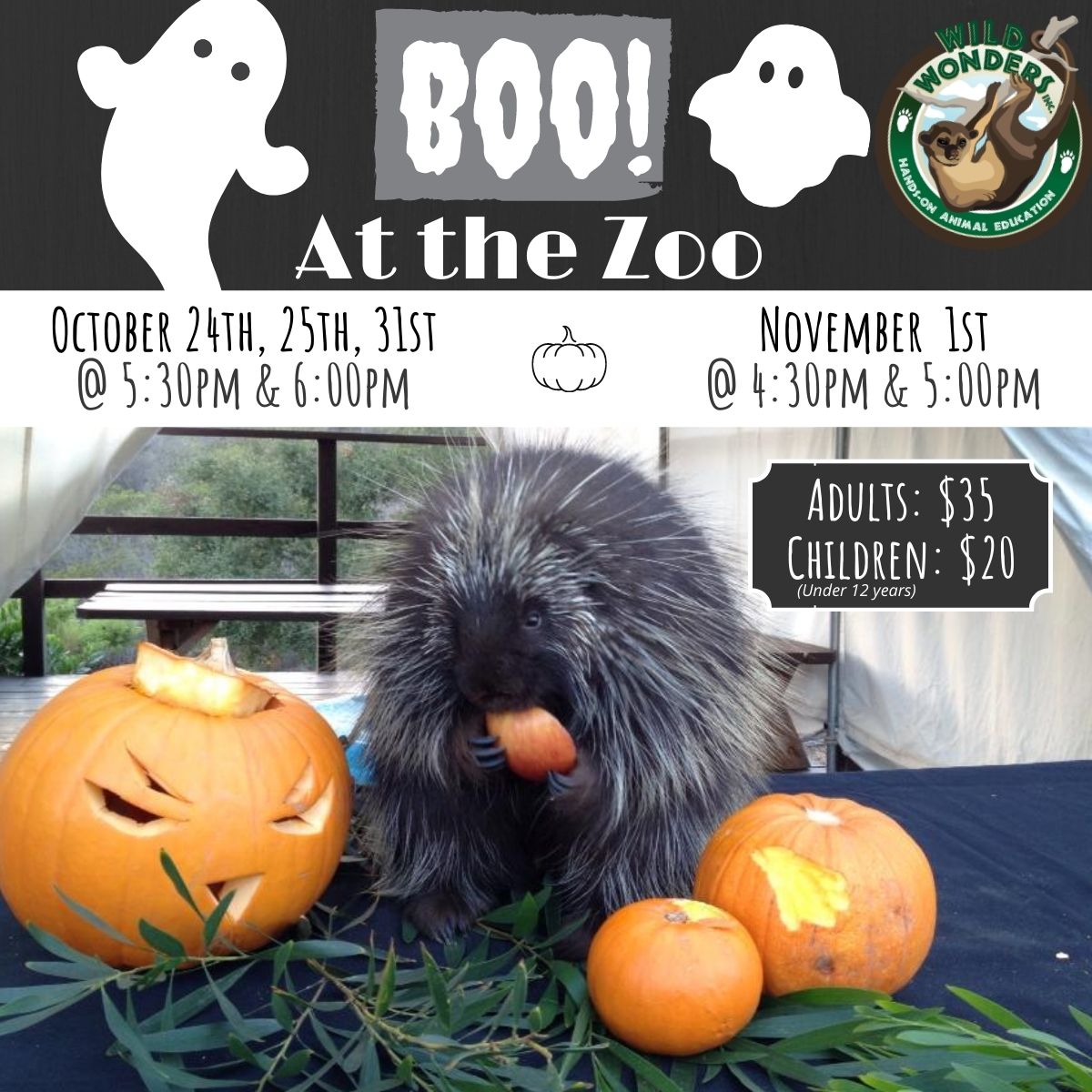 Boo At The Zoo Wild Wonders