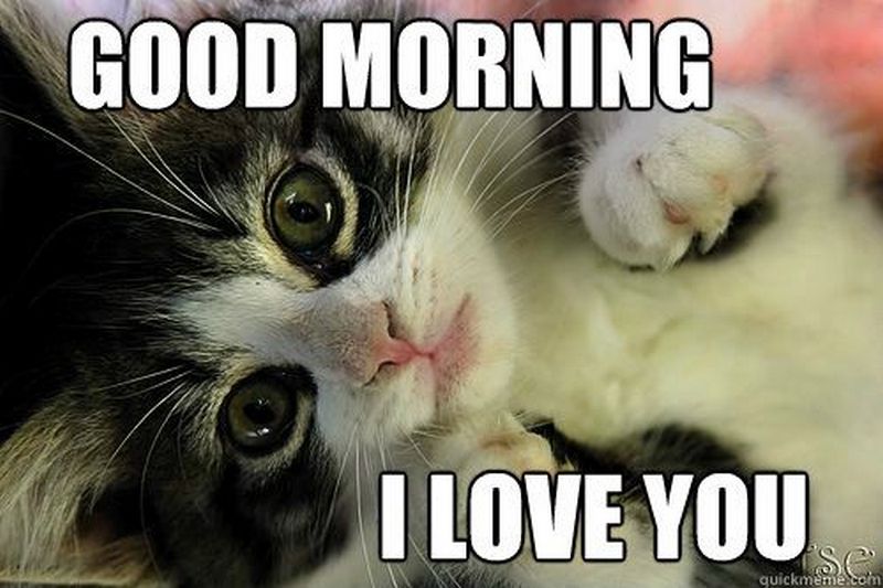55 Funny Love Memes To Share